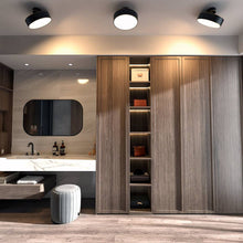 Load image into Gallery viewer, Rupert Ceiling Light

