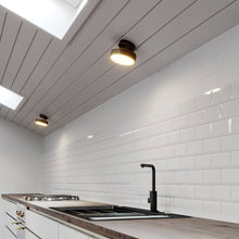 Load image into Gallery viewer, Rupert Ceiling Light
