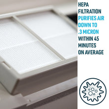 Load image into Gallery viewer, RZ AIRFlow - Air Purifying Filter for PTAC heating &amp; Cooling Units w/Premium Travel Case
