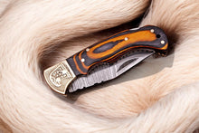 Load image into Gallery viewer, Custom Handmade Damascus Pocket Knife with Exotic Wood Handle
