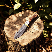 Carregar imagem no visualizador da galeria, Custom Handmade Damascus Hunting Knife – 8&quot; with Antler Handle
