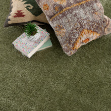 Load image into Gallery viewer, Heavenly Solid Green Plush Rug - Clearance
