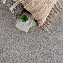 Load image into Gallery viewer, Heavenly Solid Light Gray Plush Rug - Clearance
