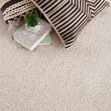 Load image into Gallery viewer, Heavenly Solid Beige Plush Rug

