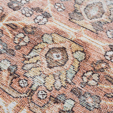 Carregar imagem no visualizador da galeria, Bian Washable Area Rug - Clearance
