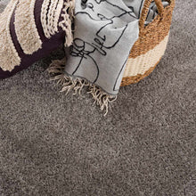 Load image into Gallery viewer, Heavenly Solid Gray Plush Rug - Clearance
