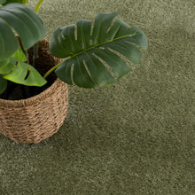 Load image into Gallery viewer, Heavenly Solid Green Plush Rug - Clearance
