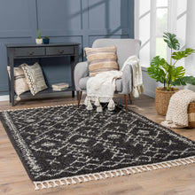 Load image into Gallery viewer, Thetford Black Berber Shag Rug - Clearance
