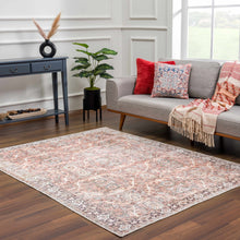 Carregar imagem no visualizador da galeria, Bian Washable Area Rug - Clearance
