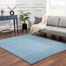 Load image into Gallery viewer, Heavenly Solid Blue Plush Rug - Clearance
