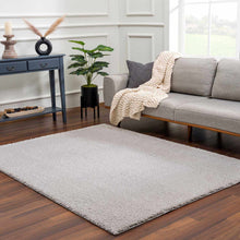 Load image into Gallery viewer, Heavenly Solid Light Gray Plush Rug - Clearance

