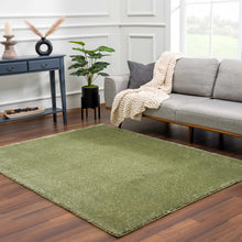 Load image into Gallery viewer, Heavenly Solid Green Plush Rug - Clearance
