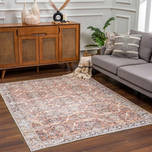 Carregar imagem no visualizador da galeria, Bian Washable Area Rug - Clearance
