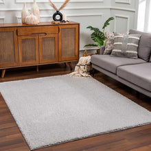 Load image into Gallery viewer, Heavenly Solid Light Gray Plush Rug - Clearance
