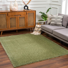 Load image into Gallery viewer, Heavenly Solid Green Plush Rug - Clearance

