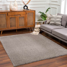 Load image into Gallery viewer, Heavenly Solid Gray Plush Rug - Clearance
