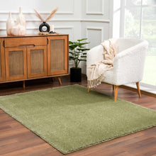 Load image into Gallery viewer, Heavenly Solid Green Plush Rug - Clearance
