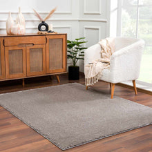 Load image into Gallery viewer, Heavenly Solid Gray Plush Rug - Clearance
