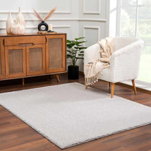 Load image into Gallery viewer, Heavenly Solid Light Gray Plush Rug - Clearance
