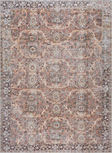 Carregar imagem no visualizador da galeria, Bian Washable Area Rug - Clearance

