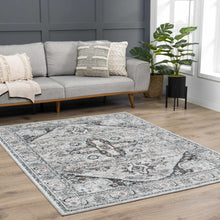 Load image into Gallery viewer, Liverpool Gray &amp; Blue Area Rug - Clearance
