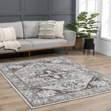 Load image into Gallery viewer, Liverpool Dark Gray Area Rug - Clearance
