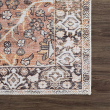 Carregar imagem no visualizador da galeria, Bian Washable Area Rug - Clearance
