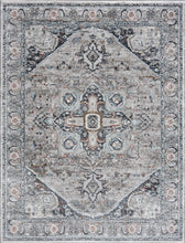 Load image into Gallery viewer, Liverpool Gray &amp; Blue Area Rug - Clearance

