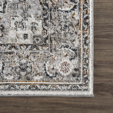 Load image into Gallery viewer, Liverpool Dark Gray Area Rug - Clearance
