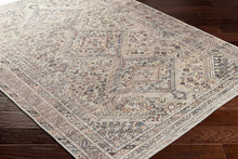 Load image into Gallery viewer, Barny Tan Flat Pile Washable Area Rug
