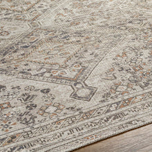 Load image into Gallery viewer, Barny Beige Flat Pile Washable Rug
