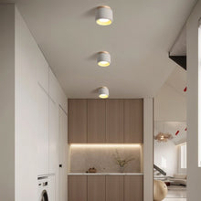 Load image into Gallery viewer, Sasil Downlight
