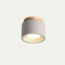 Load image into Gallery viewer, Sasil Downlight
