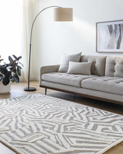 Carregar imagem no visualizador da galeria, Avian Gray Wool Area Rug
