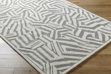 Carregar imagem no visualizador da galeria, Avian Gray Wool Area Rug
