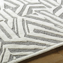 Carregar imagem no visualizador da galeria, Avian Gray Wool Area Rug
