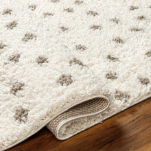 Cargar imagen en el visor de la galería, Chaia Dotted Cream &amp; Gray Plush Rug
