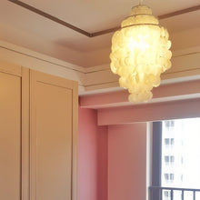 Load image into Gallery viewer, Sdafa Shell Cluster Chandelier
