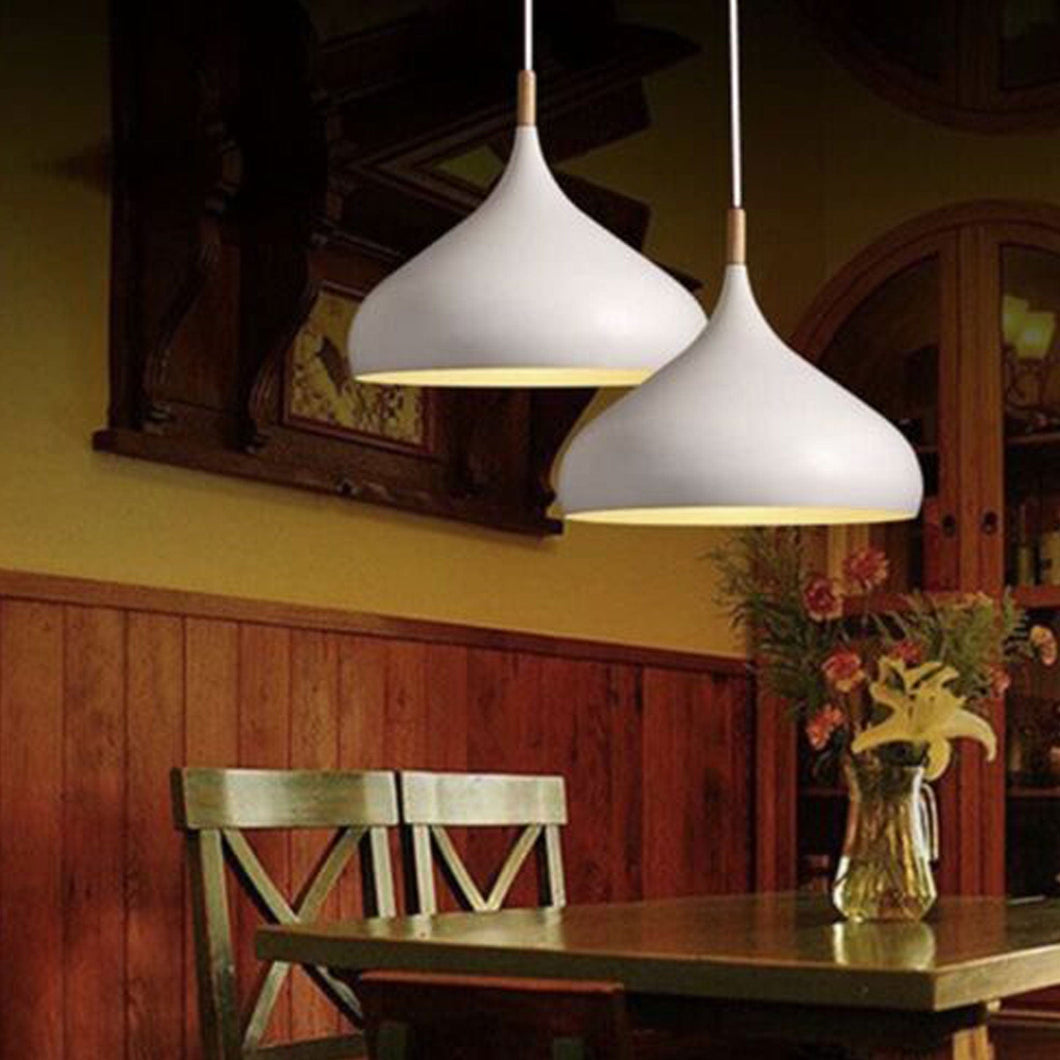 Selzalot ceiling light 60 Watt Modern Elegance Pendant Hanging Lamp Metal Pendant Lighting Pendant Shade