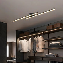 Load image into Gallery viewer, Sharan Ceiling Light
