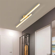 Load image into Gallery viewer, Sharan Ceiling Light

