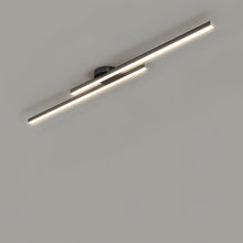 Load image into Gallery viewer, Sharan Ceiling Light
