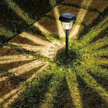 Carregar imagem no visualizador da galeria, Member&#39;s Mark Solar Pathway Lights (12 pack)

