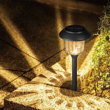 Carregar imagem no visualizador da galeria, Member&#39;s Mark Solar Pathway Lights (12 pack)
