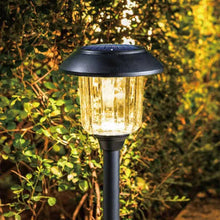Carregar imagem no visualizador da galeria, Member&#39;s Mark Solar Pathway Lights (12 pack)
