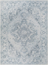 Carregar imagem no visualizador da galeria, Ankti Aqua Washable Area Rug - Clearance
