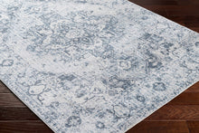 Carregar imagem no visualizador da galeria, Ankti Aqua Washable Area Rug - Clearance
