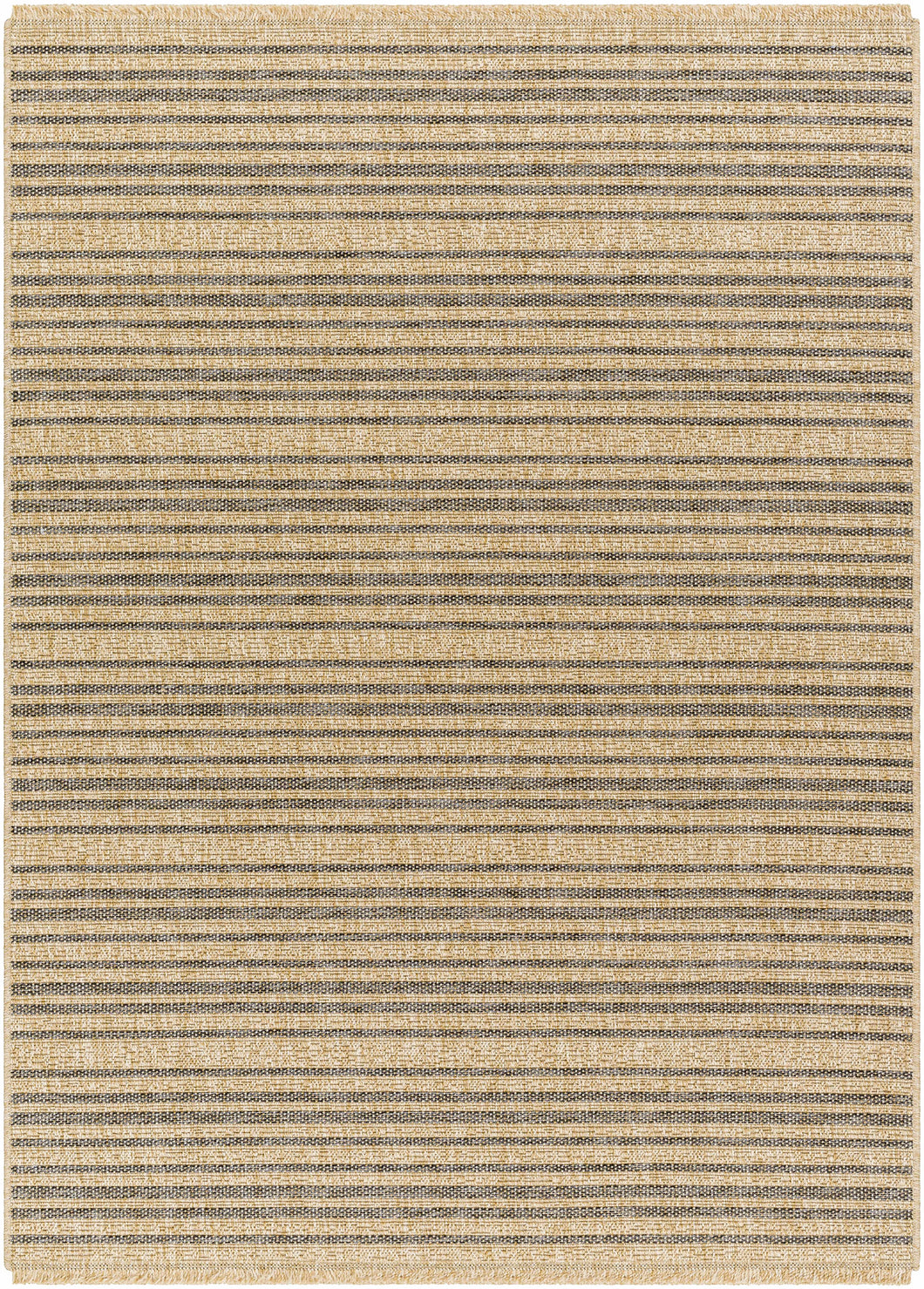 Aphea Indoor & Outdoor Rug