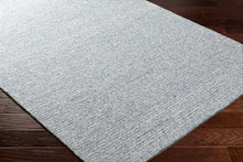 Carregar imagem no visualizador da galeria, Alyra Light Blue Solid Area Rug - Clearance
