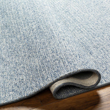 Carregar imagem no visualizador da galeria, Alyra Light Blue Solid Area Rug - Clearance
